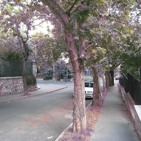 Platan Apartman Budapeşte Oda fotoğraf