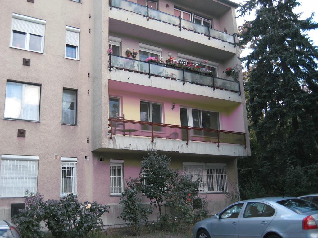 Platan Apartman Budapeşte Oda fotoğraf