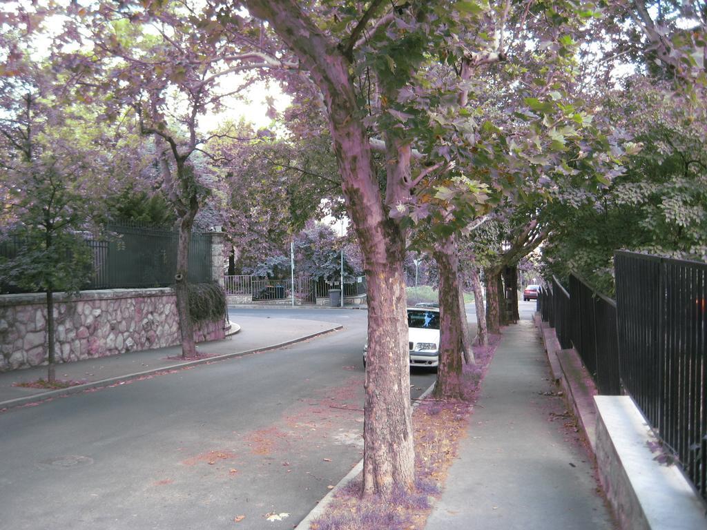 Platan Apartman Budapeşte Oda fotoğraf