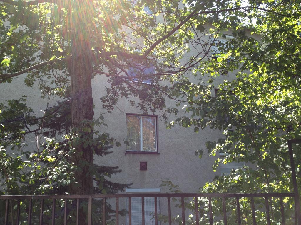 Platan Apartman Budapeşte Oda fotoğraf