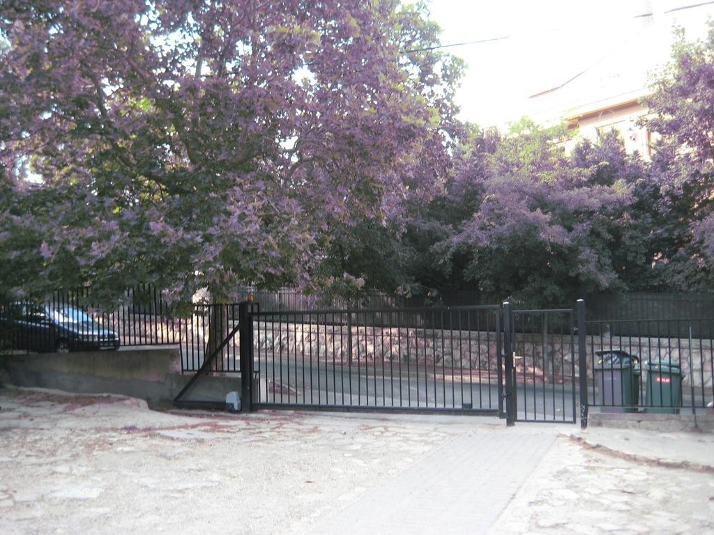 Platan Apartman Budapeşte Oda fotoğraf